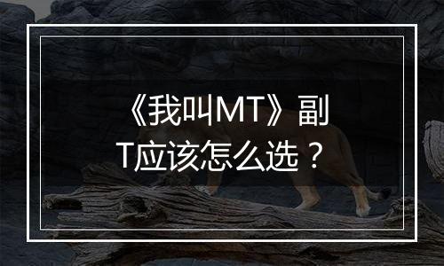《我叫MT》副T应该怎么选？
