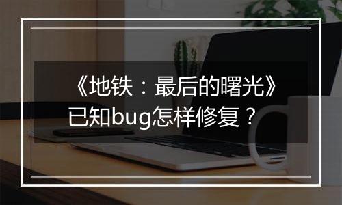 《地铁：最后的曙光》已知bug怎样修复？