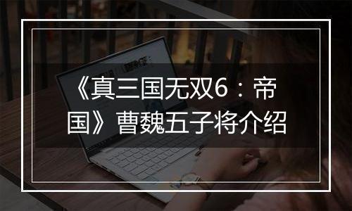 《真三国无双6：帝国》曹魏五子将介绍