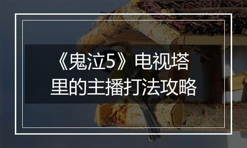 《鬼泣5》电视塔里的主播打法攻略