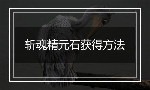 斩魂精元石获得方法