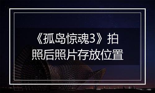 《孤岛惊魂3》拍照后照片存放位置