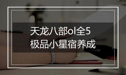 天龙八部ol全5极品小星宿养成