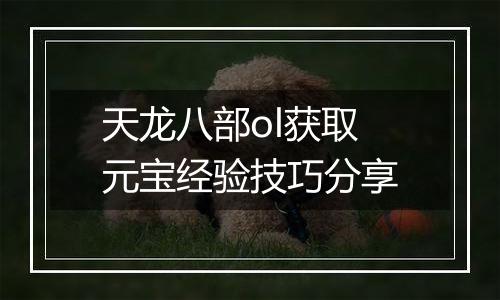 天龙八部ol获取元宝经验技巧分享