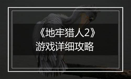 《地牢猎人2》游戏详细攻略