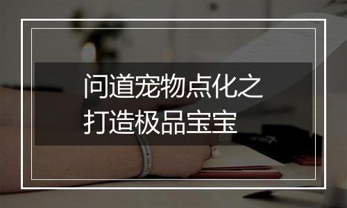 问道宠物点化之打造极品宝宝