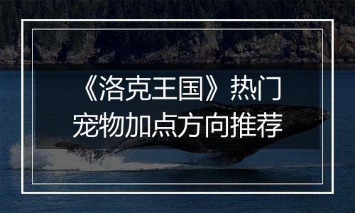 《洛克王国》热门宠物加点方向推荐