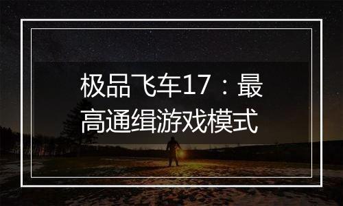 极品飞车17：最高通缉游戏模式