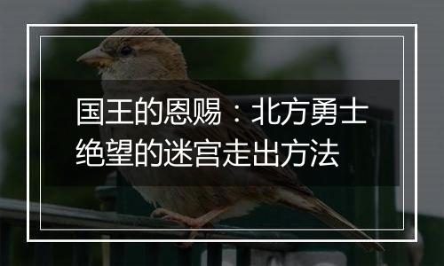 国王的恩赐：北方勇士绝望的迷宫走出方法