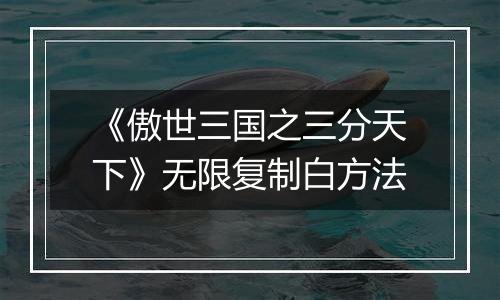 《傲世三国之三分天下》无限复制白方法