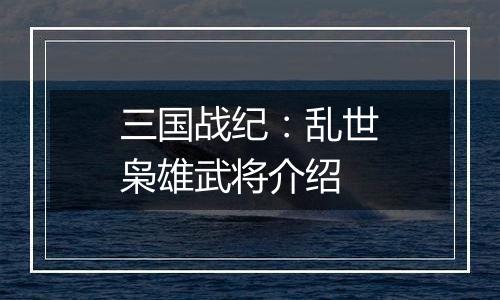 三国战纪：乱世枭雄武将介绍