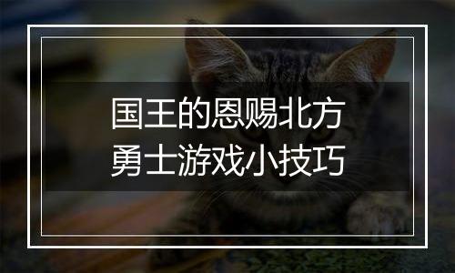 国王的恩赐北方勇士游戏小技巧