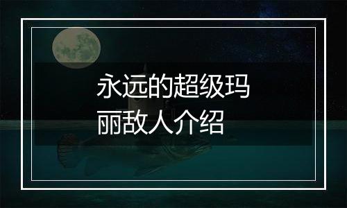 永远的超级玛丽敌人介绍