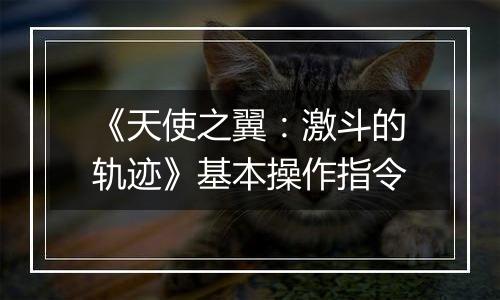 《天使之翼：激斗的轨迹》基本操作指令