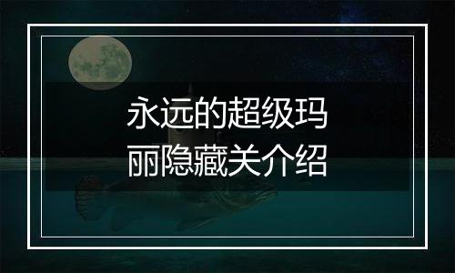永远的超级玛丽隐藏关介绍
