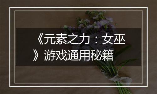 《元素之力：女巫》游戏通用秘籍