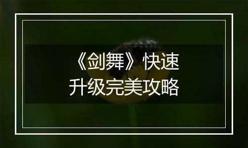 《剑舞》快速升级完美攻略