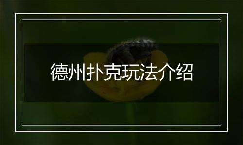 德州扑克玩法介绍