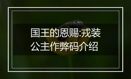 国王的恩赐:戎装公主作弊码介绍