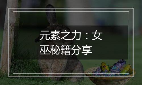 元素之力：女巫秘籍分享