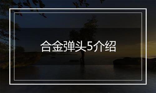 合金弹头5介绍