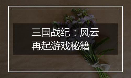 三国战纪：风云再起游戏秘籍