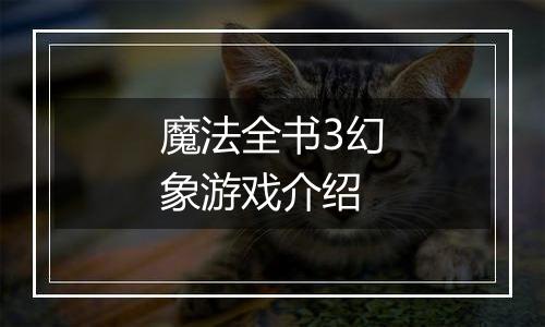 魔法全书3幻象游戏介绍