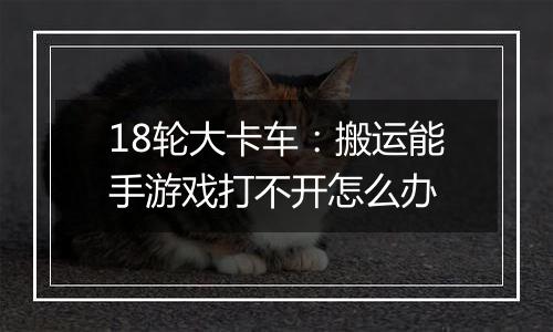 18轮大卡车：搬运能手游戏打不开怎么办
