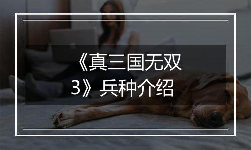 《真三国无双3》兵种介绍