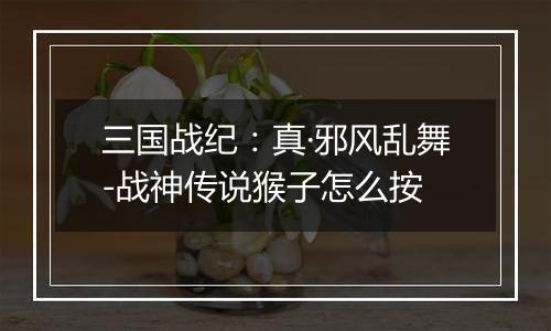 三国战纪：真·邪风乱舞-战神传说猴子怎么按