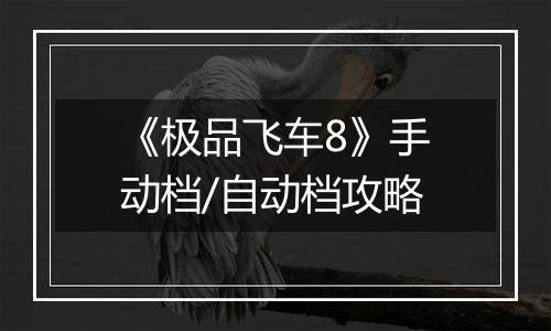 《极品飞车8》手动档/自动档攻略