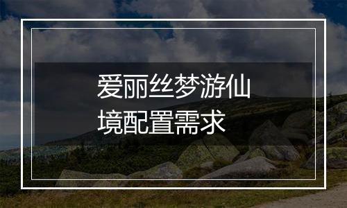 爱丽丝梦游仙境配置需求