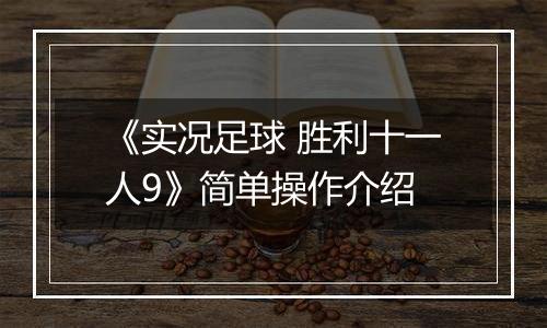 《实况足球 胜利十一人9》简单操作介绍