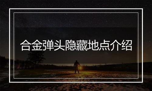 合金弹头隐藏地点介绍