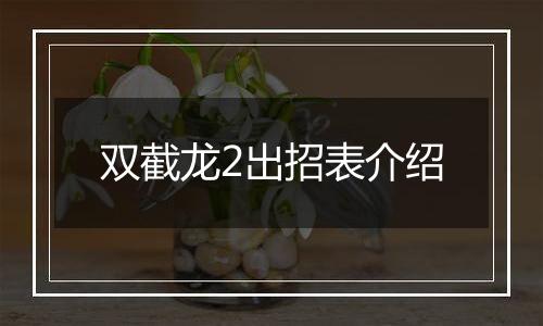双截龙2出招表介绍