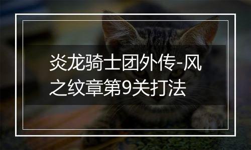 炎龙骑士团外传-风之纹章第9关打法