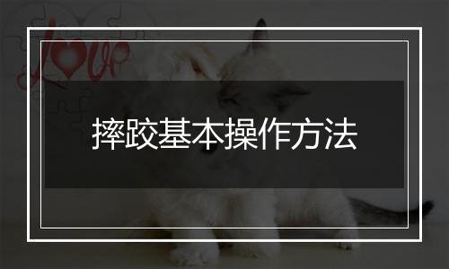 摔跤基本操作方法