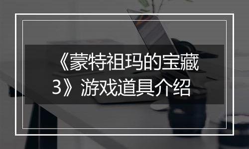 《蒙特祖玛的宝藏3》游戏道具介绍