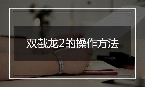 双截龙2的操作方法