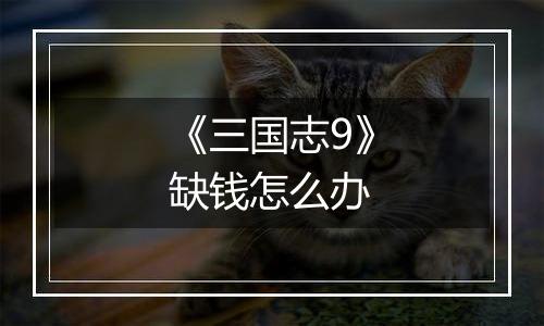 《三国志9》缺钱怎么办