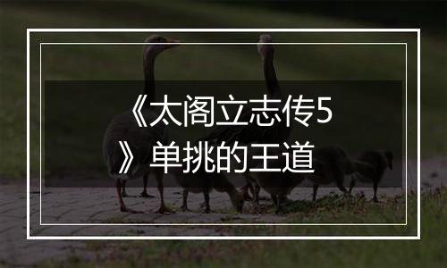 《太阁立志传5》单挑的王道