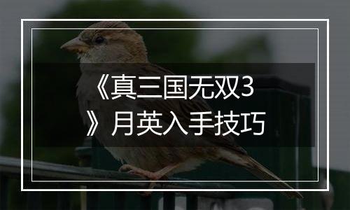《真三国无双3》月英入手技巧