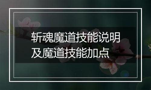 斩魂魔道技能说明及魔道技能加点