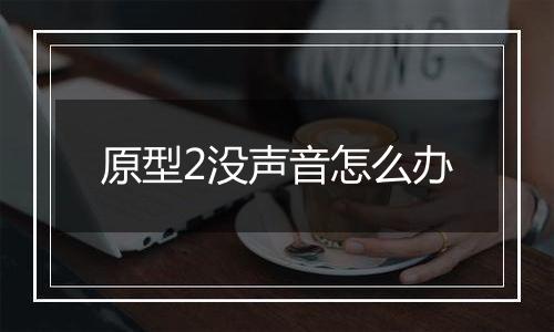 原型2没声音怎么办