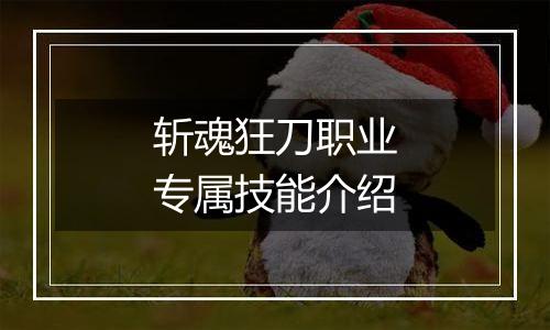 斩魂狂刀职业专属技能介绍