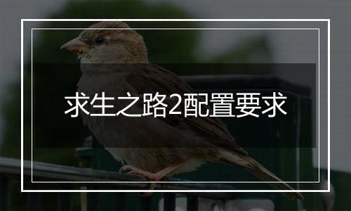 求生之路2配置要求