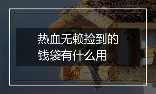 热血无赖捡到的钱袋有什么用