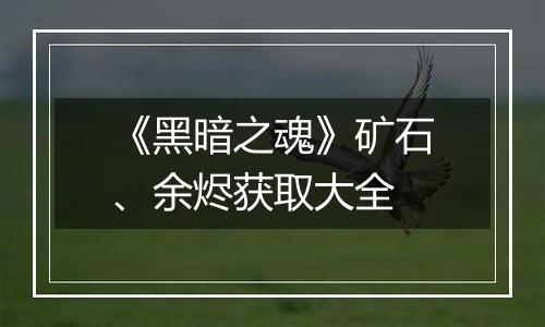 《黑暗之魂》矿石、余烬获取大全