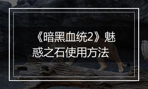 《暗黑血统2》魅惑之石使用方法