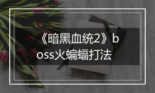 《暗黑血统2》boss火蝙蝠打法